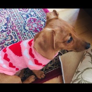 Meet your Posher, Jennifer